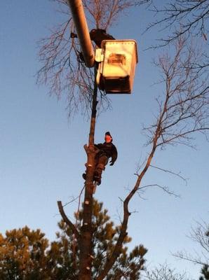 Timberline Outdoor Services