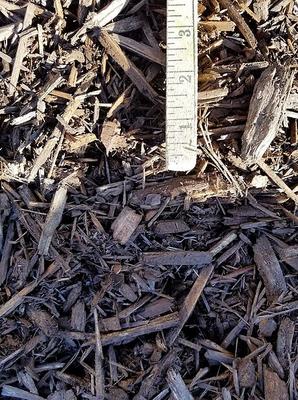 Rossi Transport Service