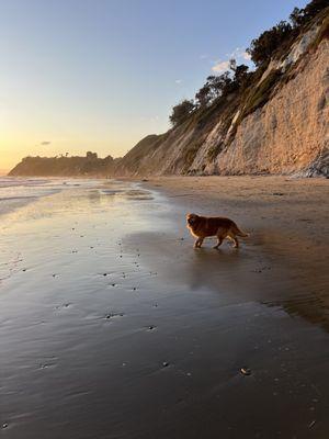 Arroyo Burro Beach