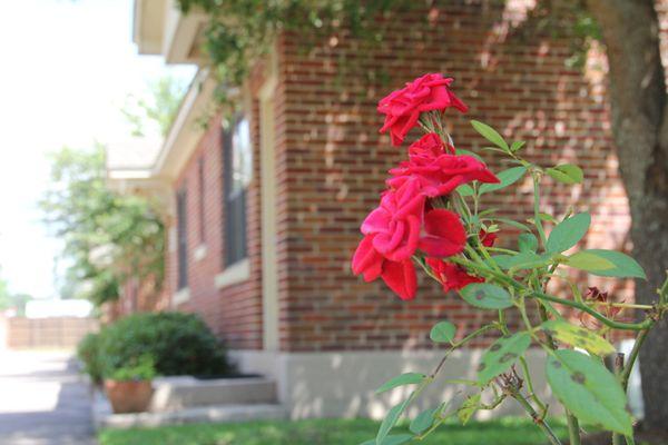 Pine Grove Behavioral Health & Addiction Services