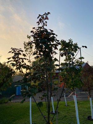 B & G Landscape Creations