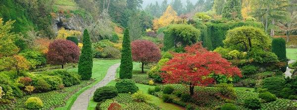 Superior Landscape Management Inc