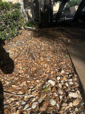 Maldonado Nursery & Landscaping