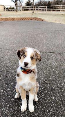 Circle E Animal Health & Nutrition Inc