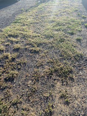 Crooked River Ranch Rv Park