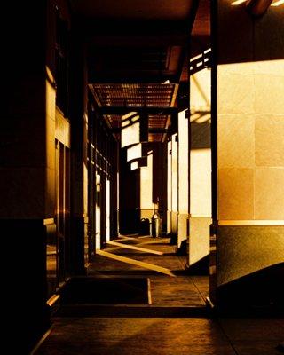 film that was developed at phoenix photo lab