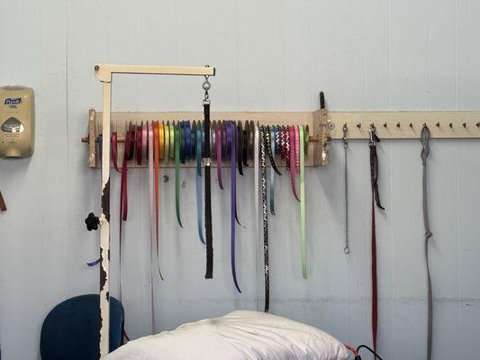 A Cut Above Pet Grooming