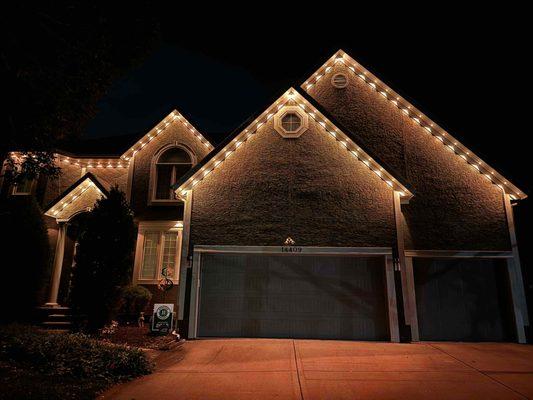 EcoFocus Lighting and Landscape