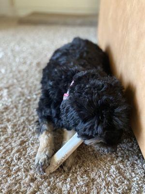 No lengths the same.