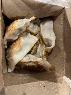 Pan fried chive pork dumplings