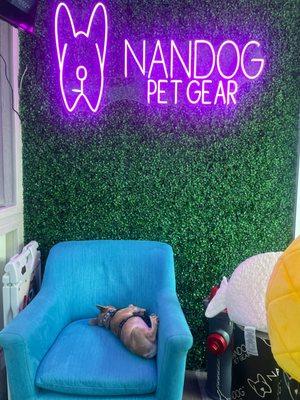 Nandog Pet Gear
