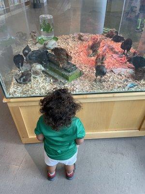 Kenton County Public Library Independence Branch