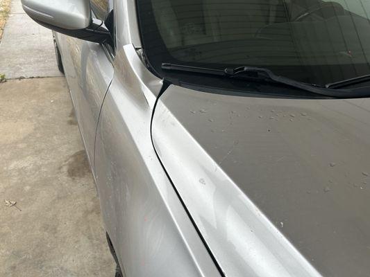 Passenger side body damage from hood flying up on highway.