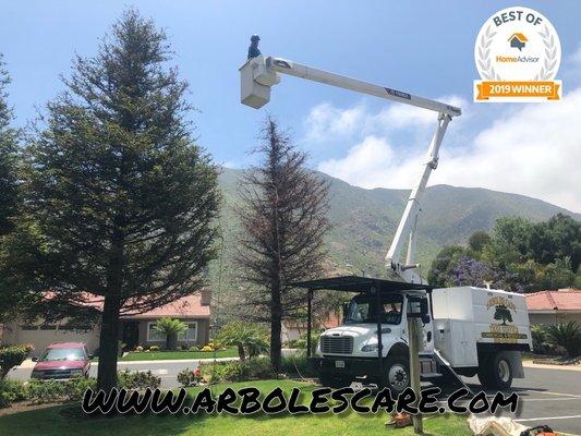 Arboles Care Tree Service