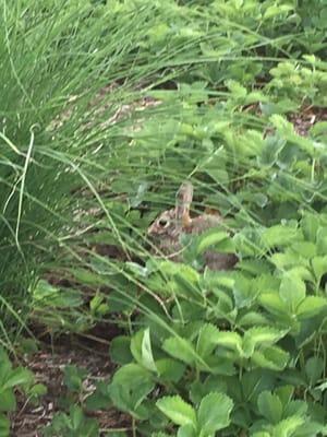 Fairview Montessori School