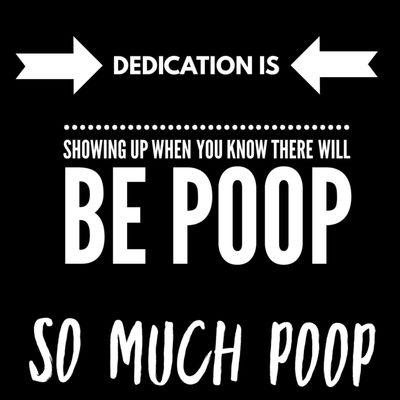 Sooper Skoopers Pet Waste Removal