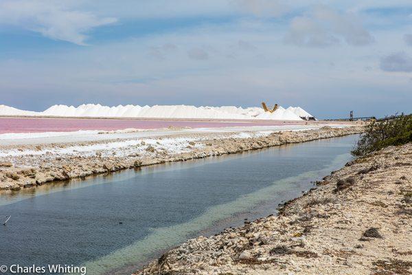 Charles Whiting Photography