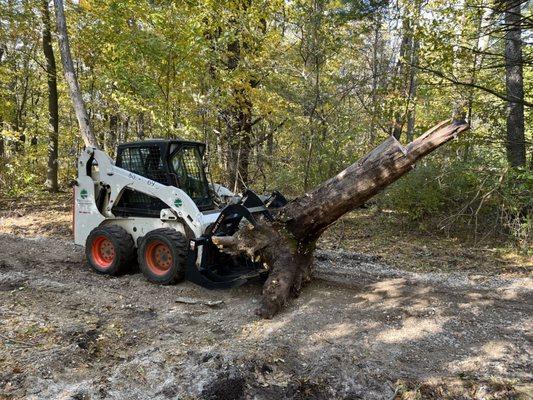 Precision Landscape Management