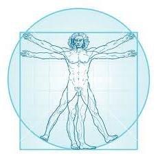 MIchaek Sicignano PT, PC