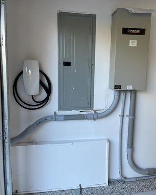 Halogen Electrical Repair