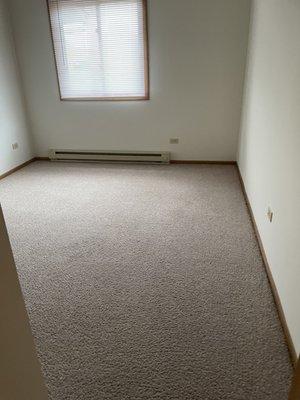 Carpet Cleaning Job