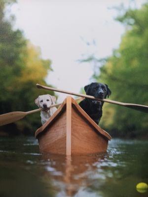 Guide Dogs of America