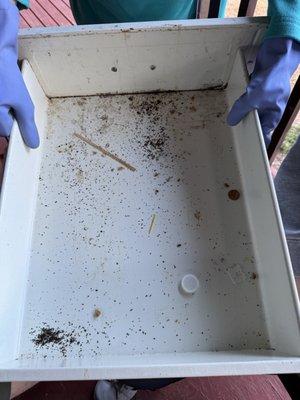 Dirty kitchen drawers