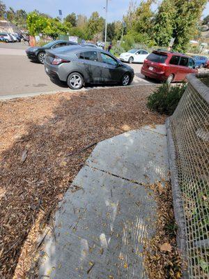 Quail Botanical Gardens Gift Shop