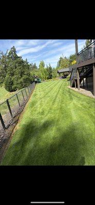 Sonora Landscape & Maintenance