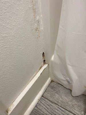 Holes is the wall, roaches come in and out of!