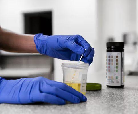 PS Biotech Solutions Lab