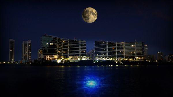 FL Condo Insurance of Florida