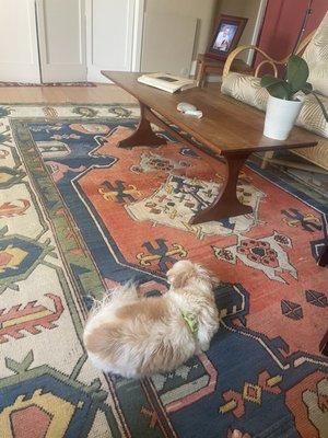 Artisan Fine Rug Care