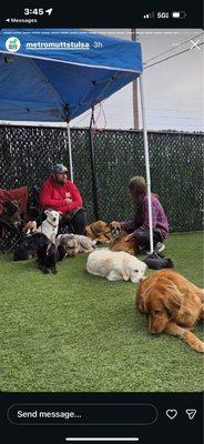Metro Mutts