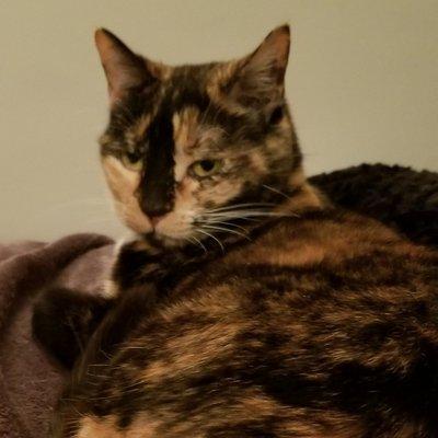 Blue Cross Veterinary Clinic