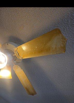 Mels Painting & Cleaning