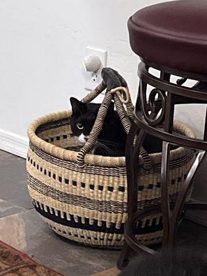 Alta Sierra Veterinary Hospital