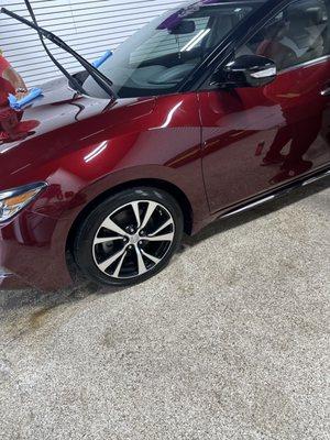 Collision Experts of Cape Coral