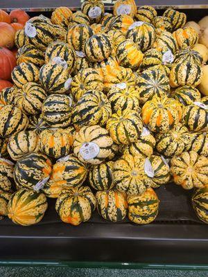 Fall Squash