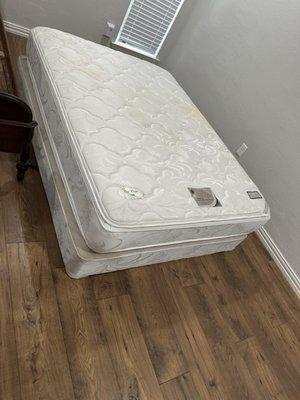 Box stings and mattress