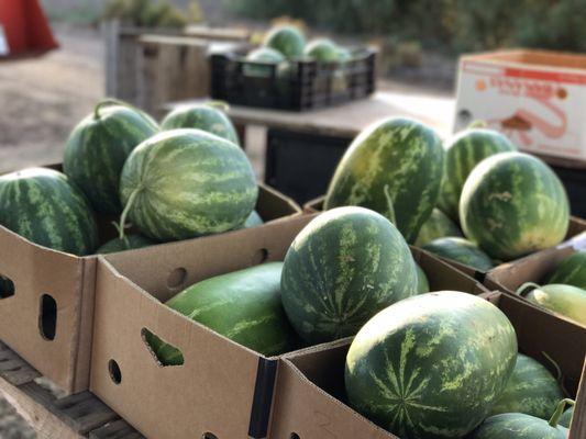 Killer Tomato Organic Farmstand