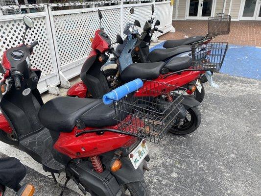 Conch Golf Cart & Scooter Rentals