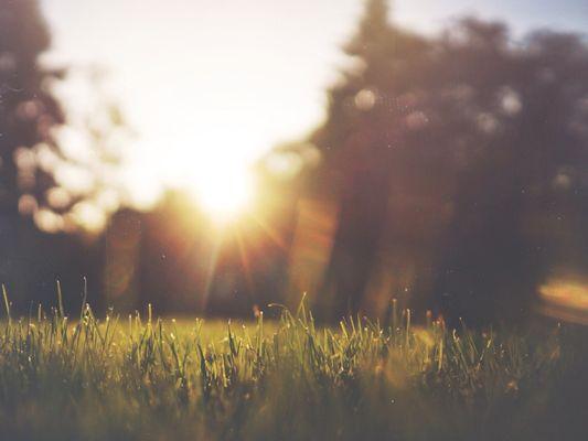 Meridian Payroll & HR