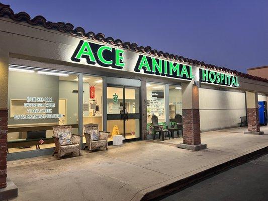Ace Animal Hospital