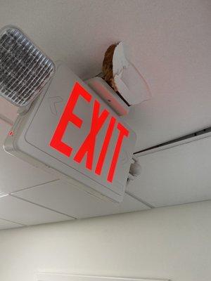 Neville & Son Trucking