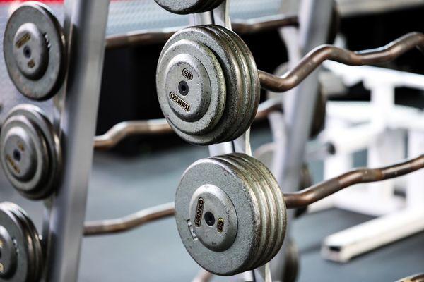 Everybody's Gym