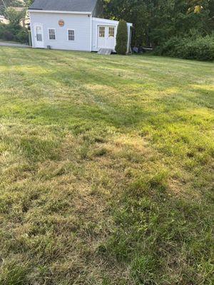 Groundhog Landscaping