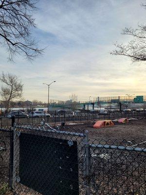 Dog run with obstacle course and running in gated area.
