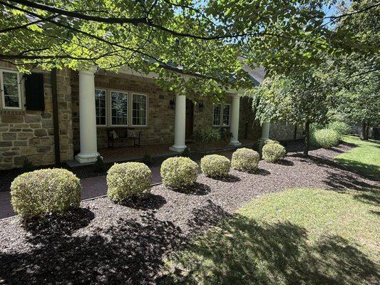 Toribio Total Lawn Care & Landscaping