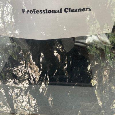 Professional Cleaners